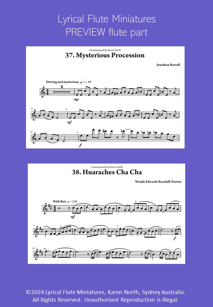 Lyrical Flute Miniatures image 8