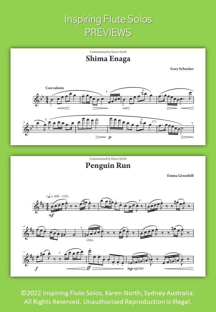 Inspiring Flute Solos image 7