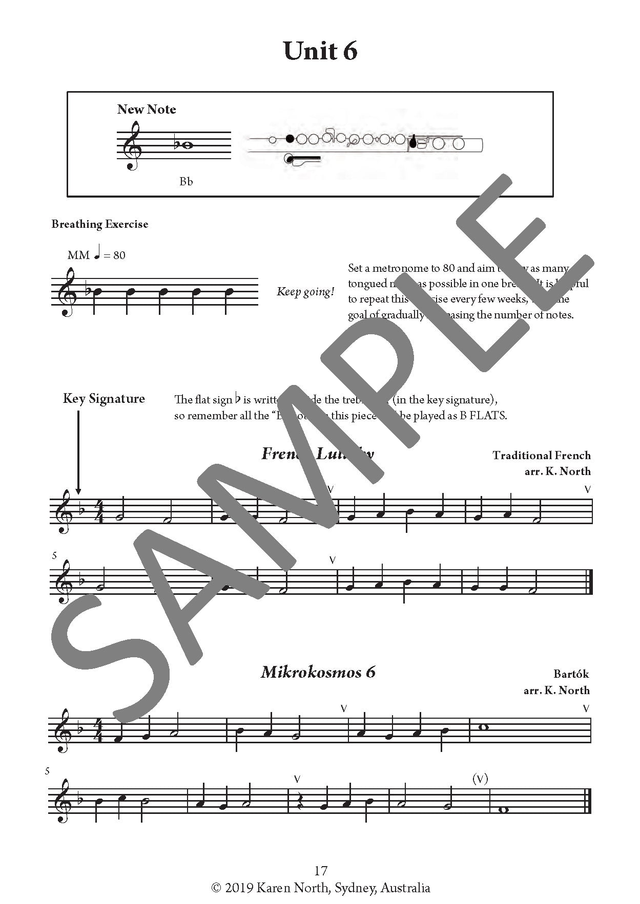 The Young Flute Player BOOK 6 image 2