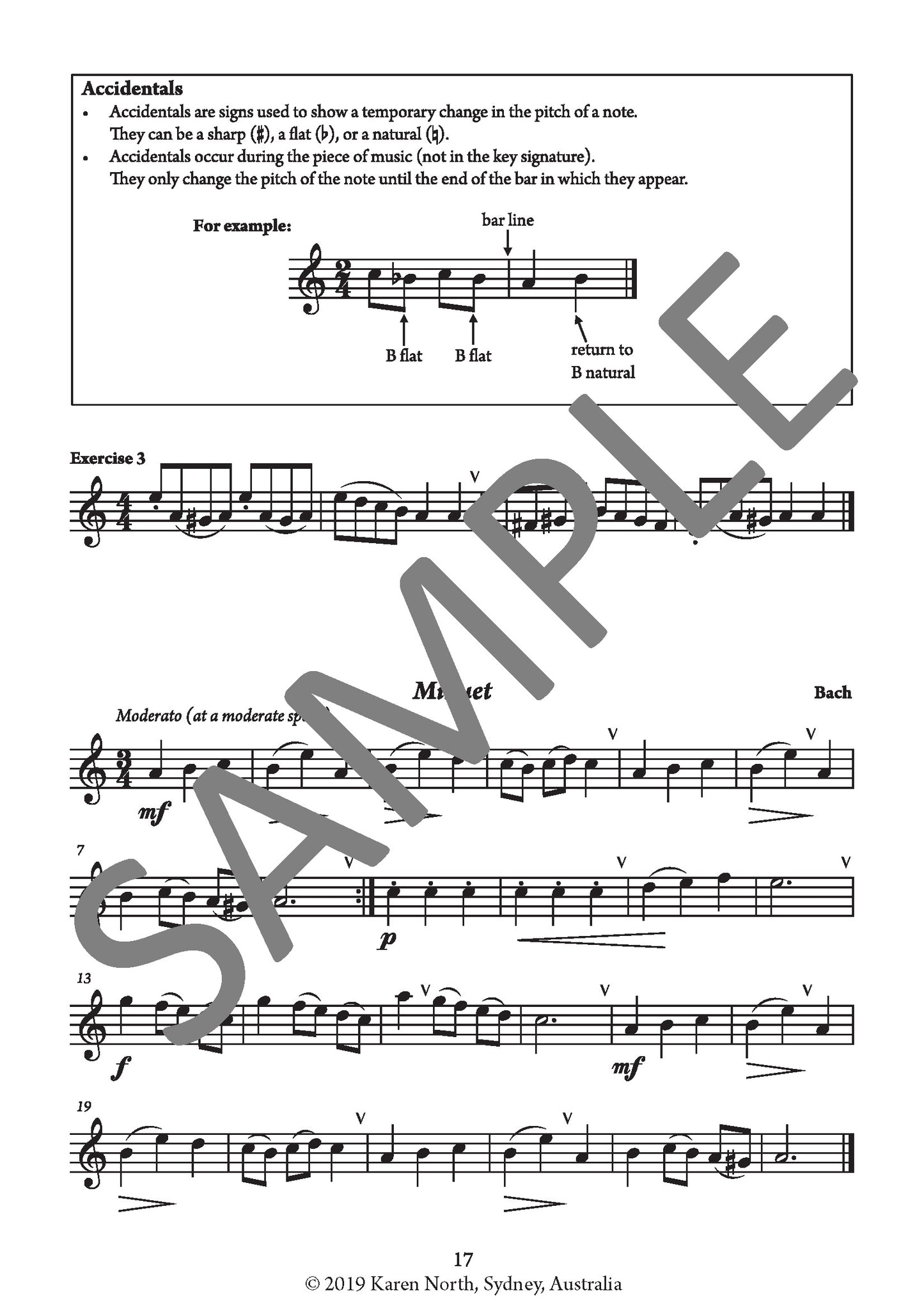 The Young Flute Player BOOK 2 image 3