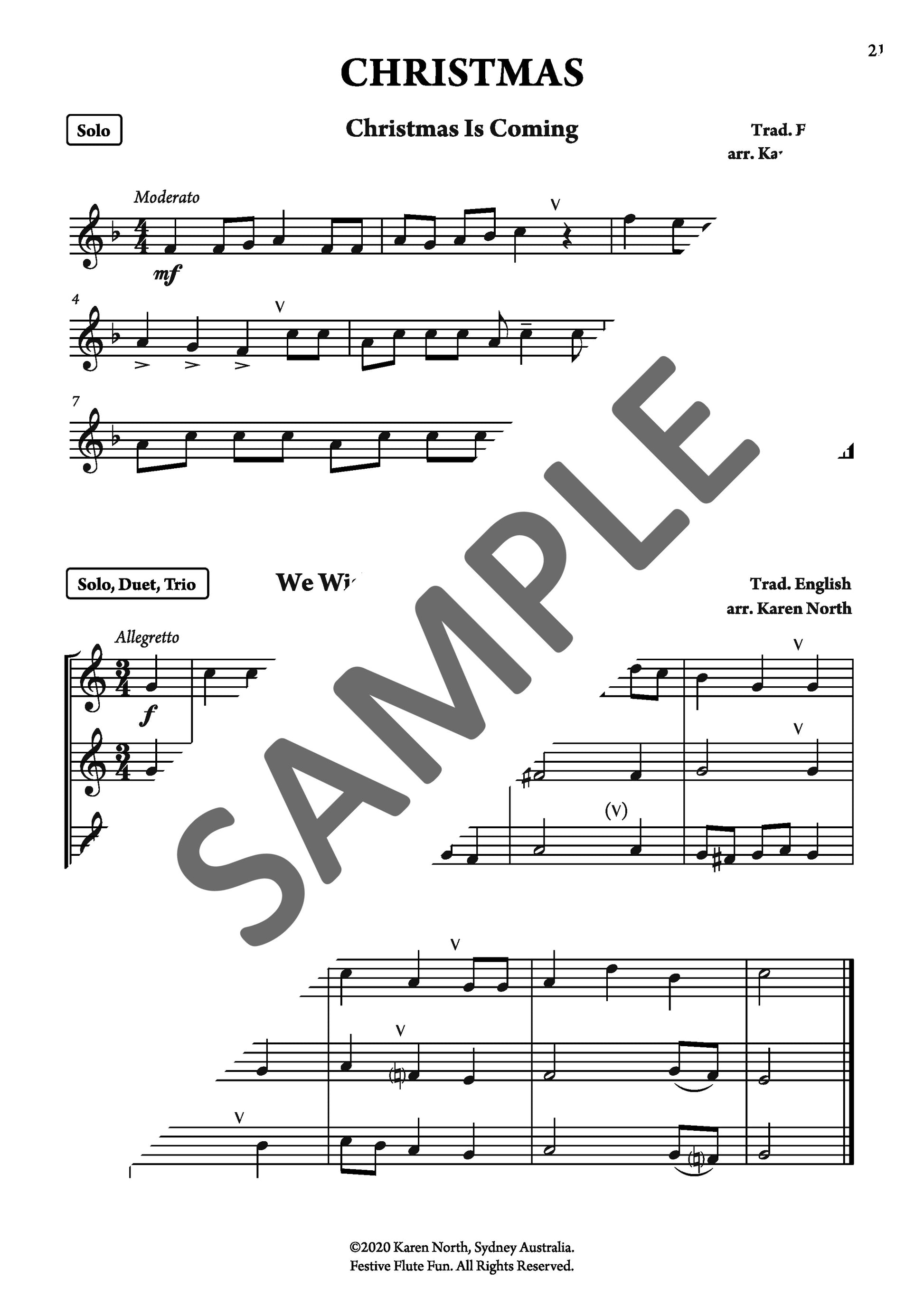 Festive Flute Fun image 1