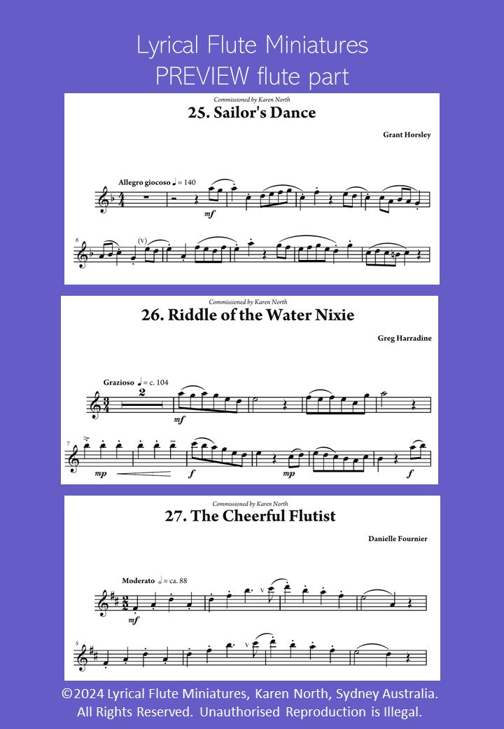 Lyrical Flute Miniatures image 6