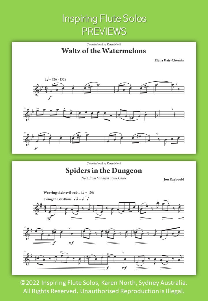 Inspiring Flute Solos image 2