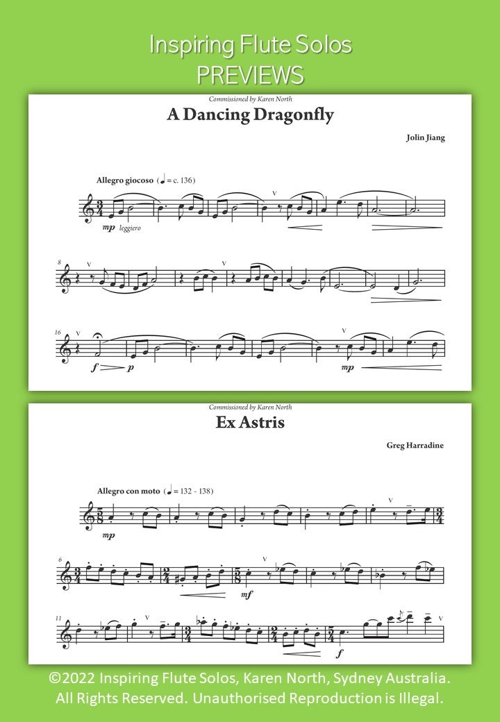 Inspiring Flute Solos image 4