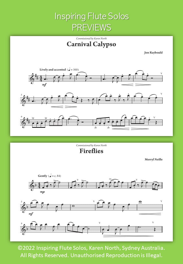 Inspiring Flute Solos image 3