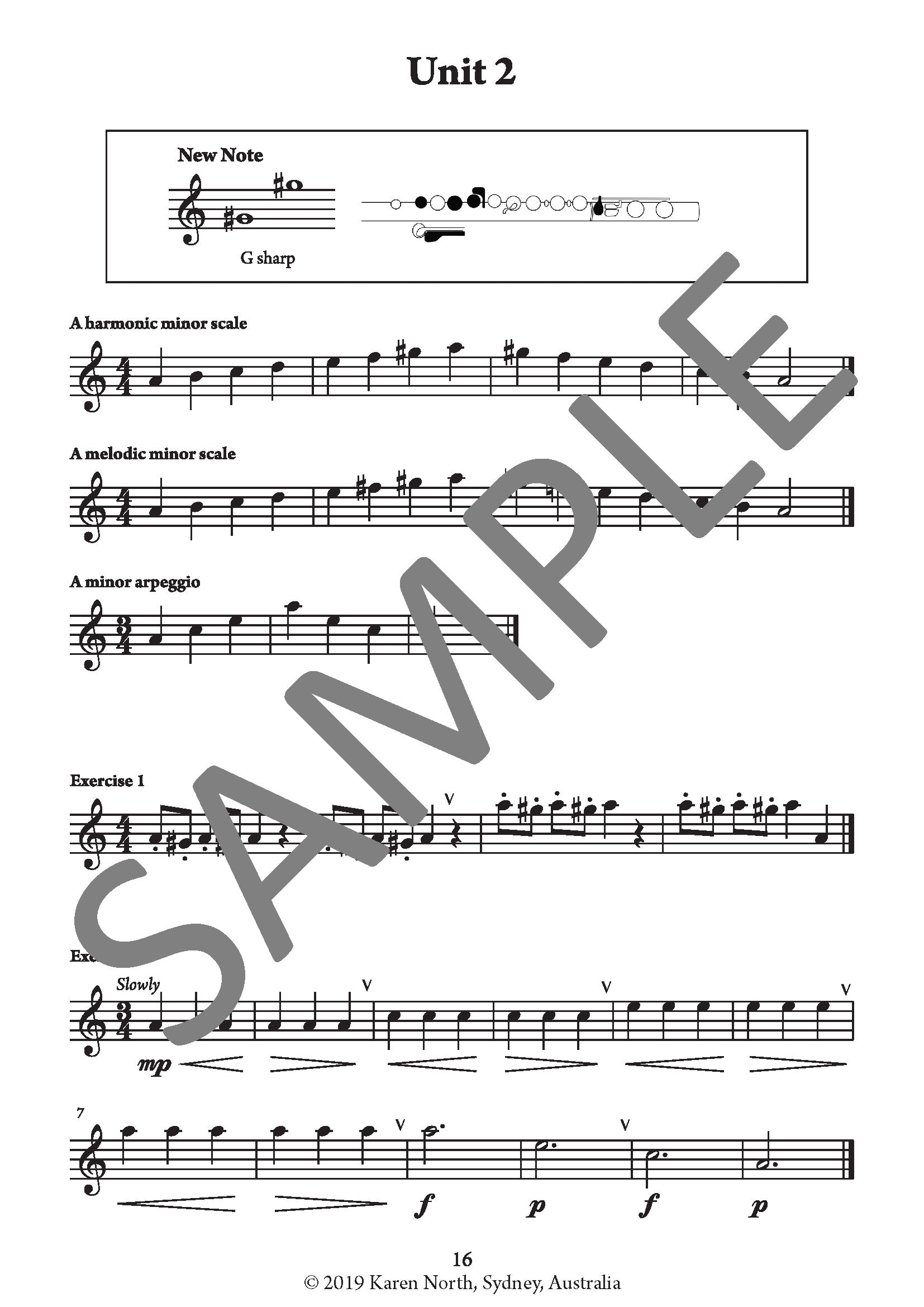 The Young Flute Player BOOK 2 image 2