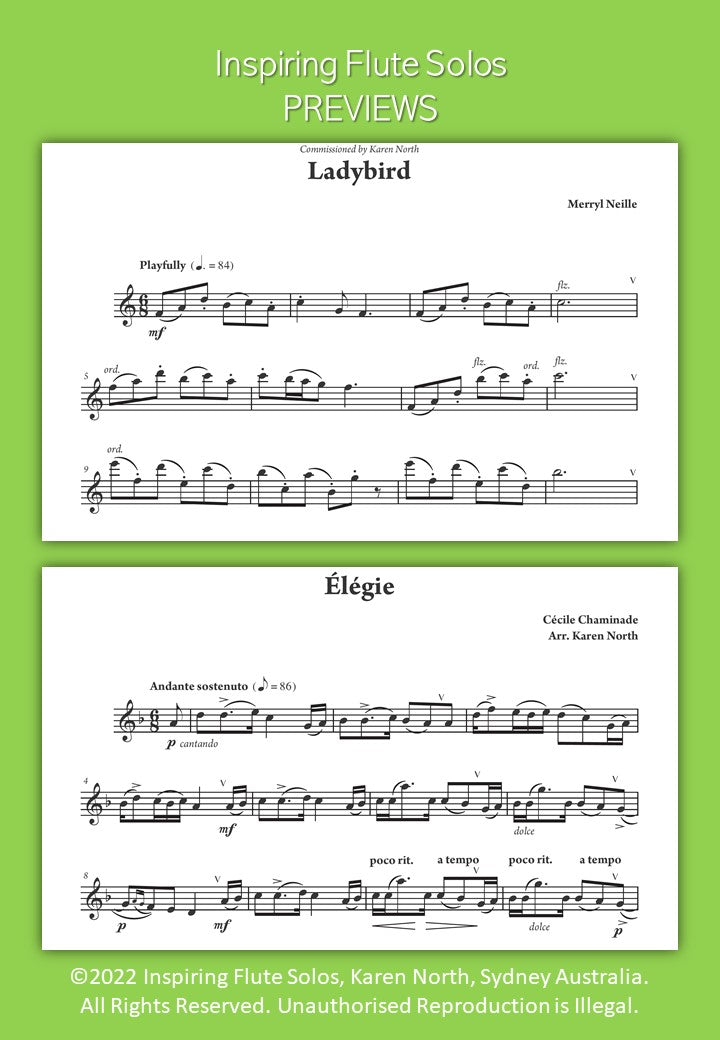 Inspiring Flute Solos image 6