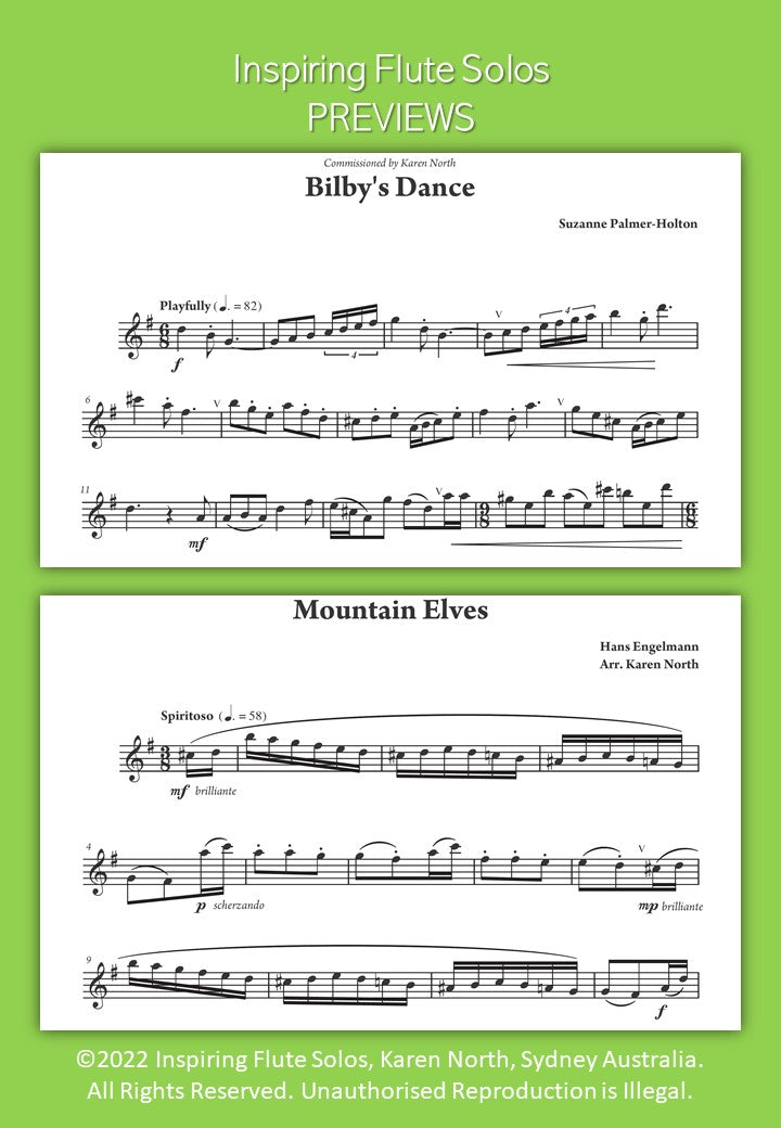 Inspiring Flute Solos image 5