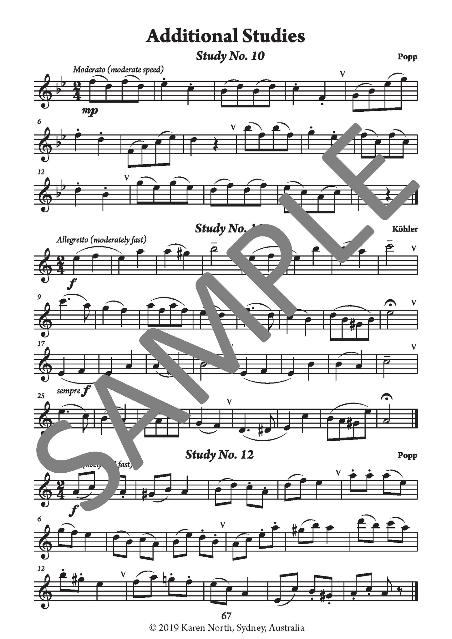 The Young Flute Player BOOK 2 image 6