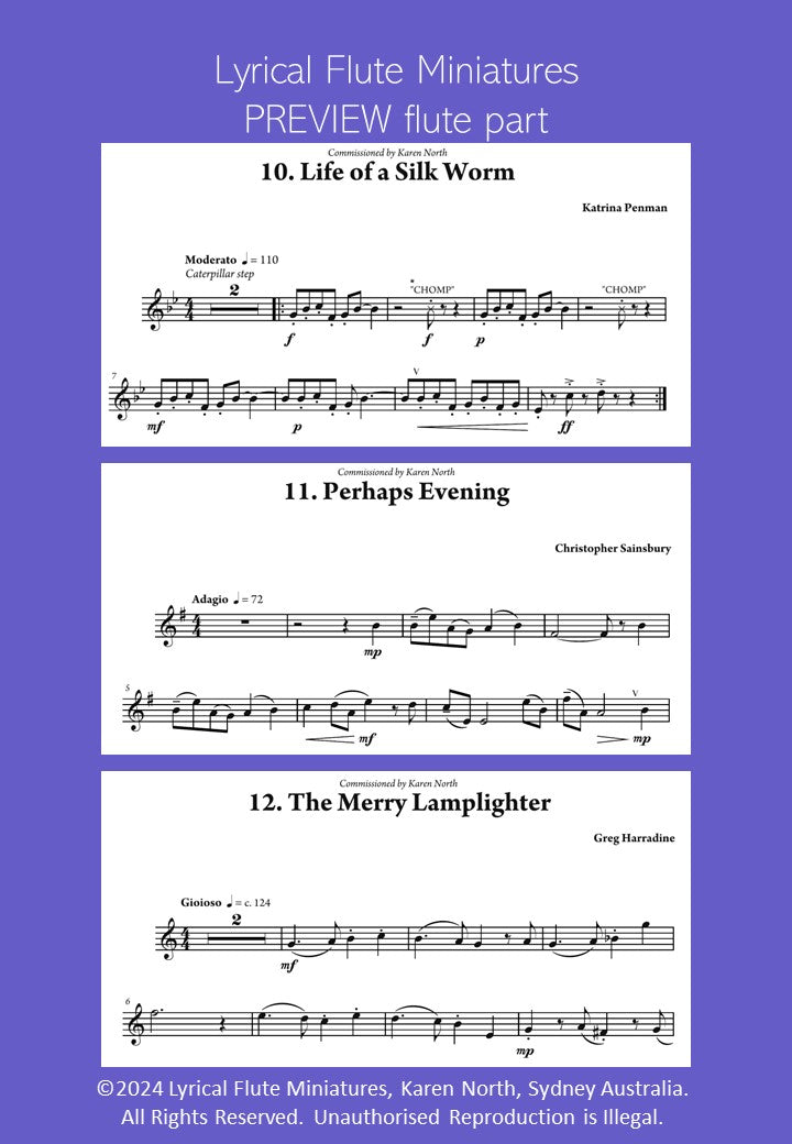 Lyrical Flute Miniatures image 3