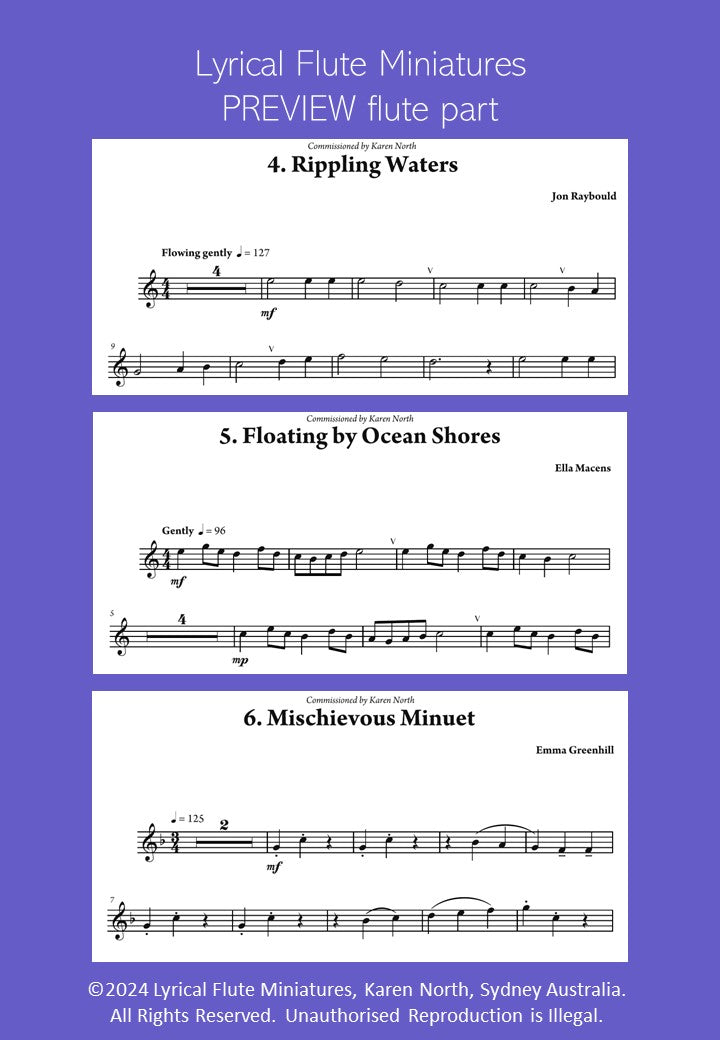 Lyrical Flute Miniatures image 2