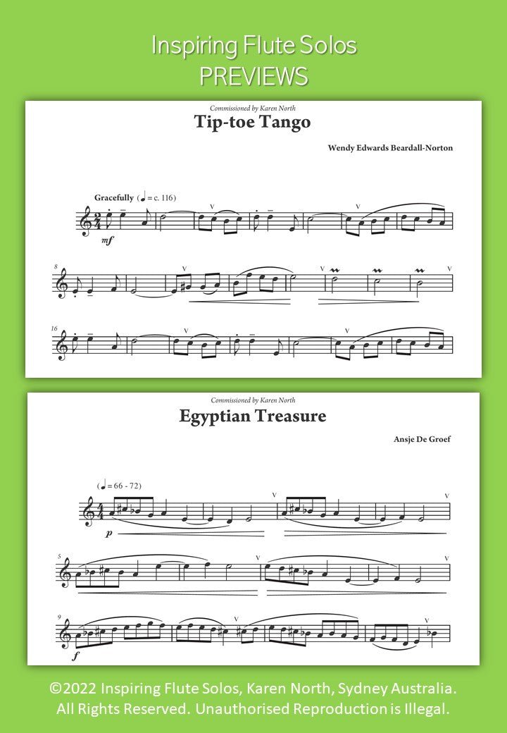 Inspiring Flute Solos image 1