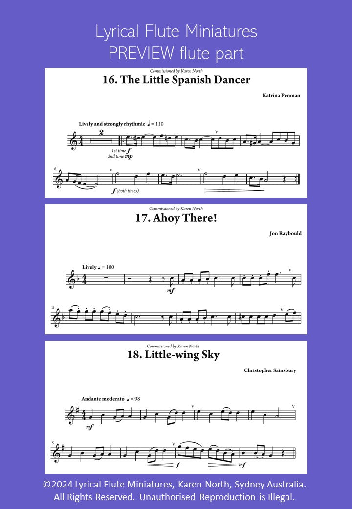 Lyrical Flute Miniatures image 4