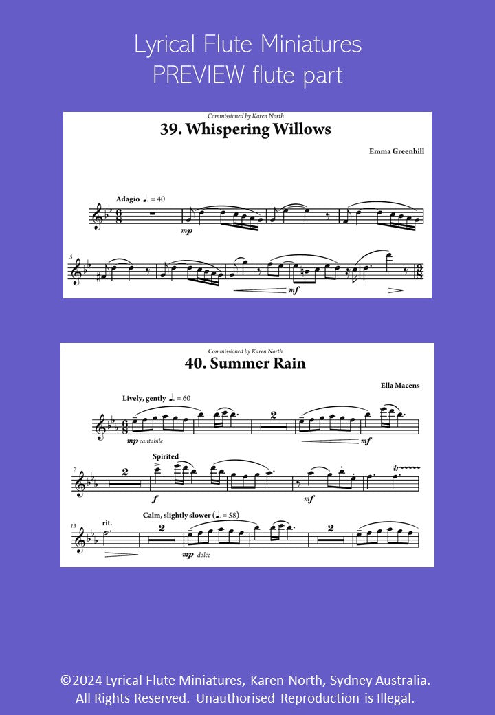 Lyrical Flute Miniatures image 9